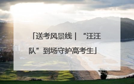 送考风景线｜“汪汪队”到场守护高考生