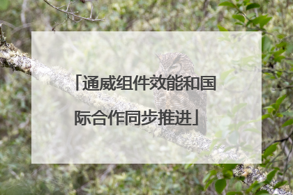 通威组件效能和国际合作同步推进