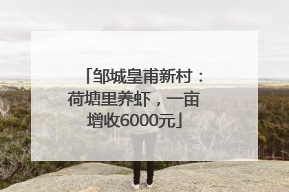 邹城皇甫新村：荷塘里养虾，一亩增收6000元