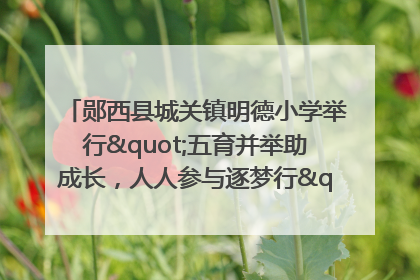 郧西县城关镇明德小学举行"五育并举助成长，人人参与逐梦行"庆六一活动