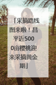 采摘路线图来啦！昌平近5000亩樱桃迎来采摘黄金期