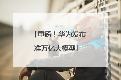 重磅！华为发布准万亿大模型