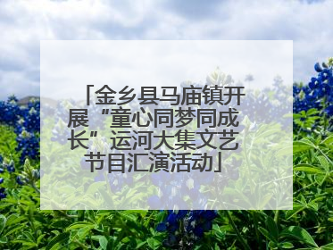 金乡县马庙镇开展“童心同梦同成长”运河大集文艺节目汇演活动