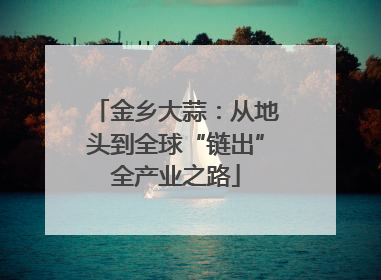金乡大蒜：从地头到全球“链出”全产业之路