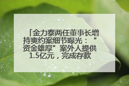 金力泰两任董事长增持爽约案细节曝光：“资金雄厚”案外人提供1.5亿元，完成存款证明后当日转回