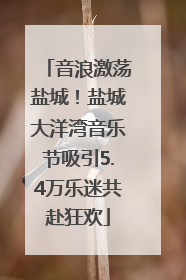 音浪激荡盐城！盐城大洋湾音乐节吸引5.4万乐迷共赴狂欢