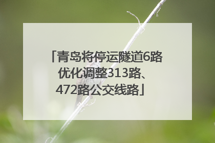青岛将停运隧道6路 优化调整313路、472路公交线路