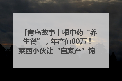 青岛故事｜喂中药“养生餐”，年产值80万！莱西小伙让“自家产”锦鲤“游”向全国