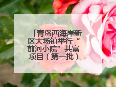 青岛西海岸新区大场镇举行“前河小院”共富项目（第一批）集中开业仪式