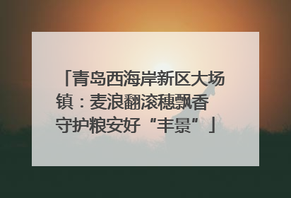 青岛西海岸新区大场镇：麦浪翻滚穗飘香 守护粮安好“丰景”