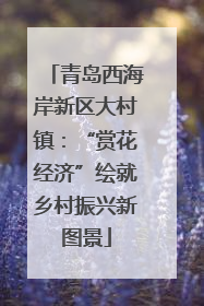 青岛西海岸新区大村镇：“赏花经济”绘就乡村振兴新图景
