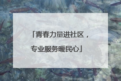 青春力量进社区，专业服务暖民心