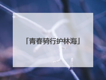 青春骑行护林海