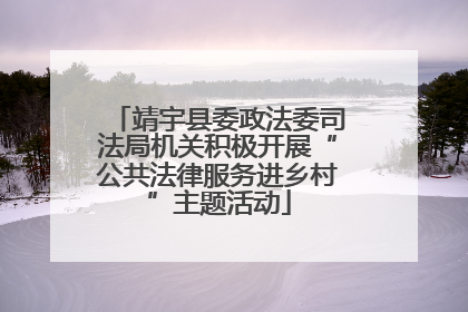 靖宇县委政法委司法局机关积极开展“公共法律服务进乡村”主题活动
