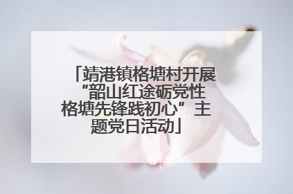 靖港镇格塘村开展“韶山红途砺党性 格塘先锋践初心”主题党日活动