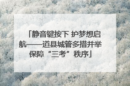 静音键按下 护梦想启航——道县城管多措并举保障“三考”秩序