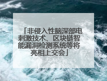 非侵入性脑深部电刺激技术、区块链智能漏洞检测系统等将亮相上交会