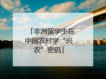 非洲留学生在中国农村学“兴农”密码