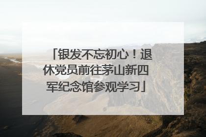 银发不忘初心！退休党员前往茅山新四军纪念馆参观学习