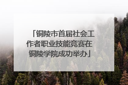铜陵市首届社会工作者职业技能竞赛在铜陵学院成功举办