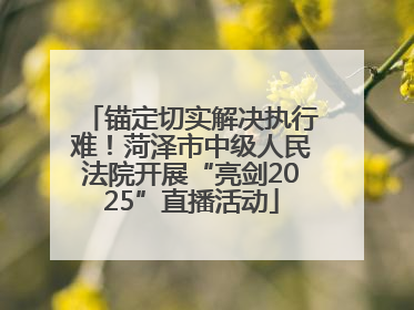 锚定切实解决执行难！菏泽市中级人民法院开展“亮剑2025”直播活动