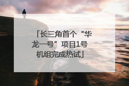 长三角首个“华龙一号”项目1号机组完成热试