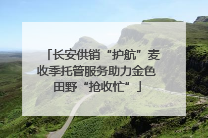 长安供销“护航”麦收季托管服务助力金色田野“抢收忙”