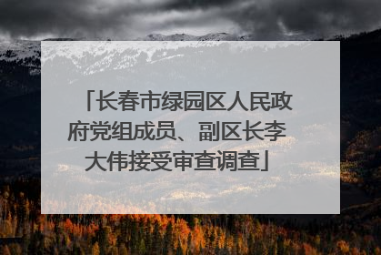 长春市绿园区人民政府党组成员、副区长李大伟接受审查调查