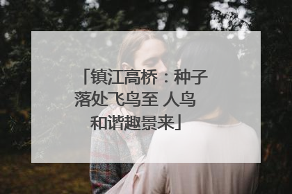镇江高桥：种子落处飞鸟至 人鸟和谐趣景来