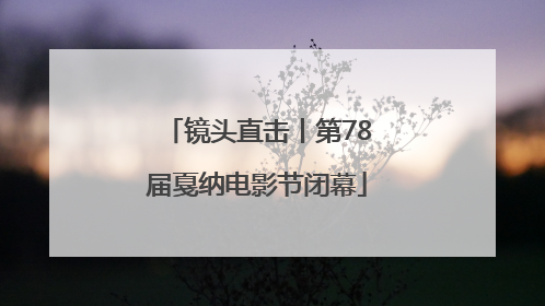 镜头直击丨第78届戛纳电影节闭幕