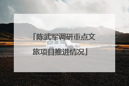 陈武军调研重点文旅项目推进情况