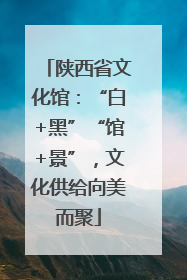 陕西省文化馆：“白+黑”“馆+景”，文化供给向美而聚