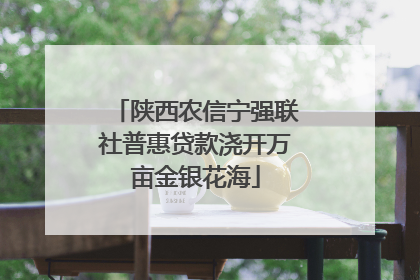 陕西农信宁强联社普惠贷款浇开万亩金银花海