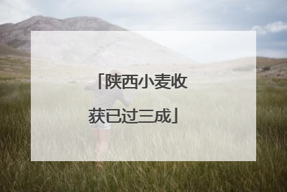 陕西小麦收获已过三成