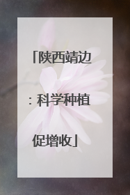 陕西靖边：科学种植促增收