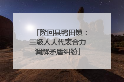 隆回县鸭田镇：三级人大代表合力调解矛盾纠纷