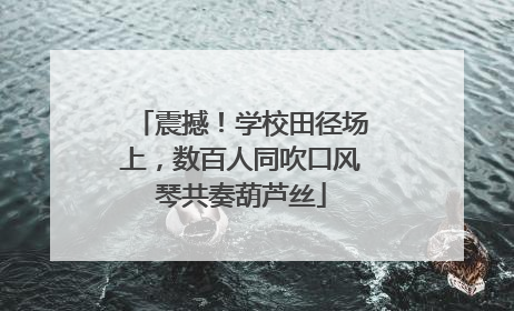 震撼！学校田径场上，数百人同吹口风琴共奏葫芦丝