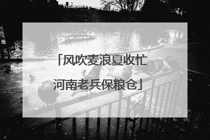 风吹麦浪夏收忙 河南老兵保粮仓