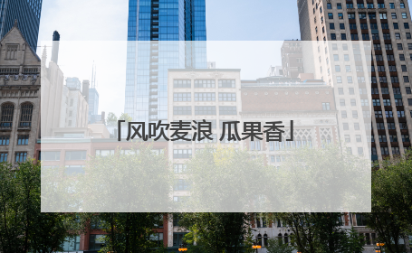 风吹麦浪 瓜果香