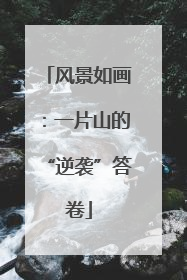 风景如画：一片山的“逆袭”答卷