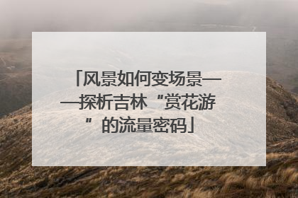 风景如何变场景——探析吉林“赏花游”的流量密码