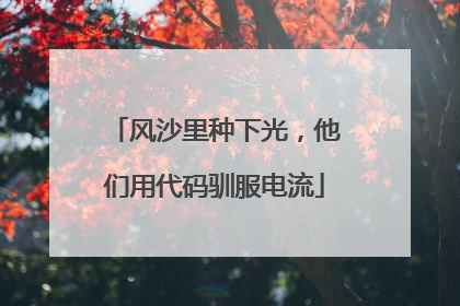 风沙里种下光，他们用代码驯服电流