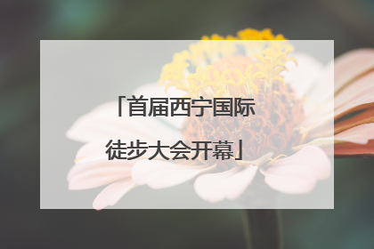 首届西宁国际徒步大会开幕