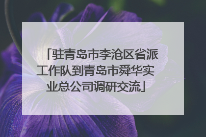 驻青岛市李沧区省派工作队到青岛市舜华实业总公司调研交流
