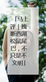 马上评｜拽断西湖松鼠尾巴，不只是不文明