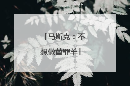 马斯克：不想做替罪羊