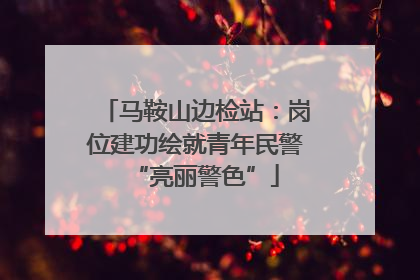 马鞍山边检站：岗位建功绘就青年民警“亮丽警色”