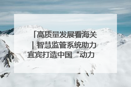 高质量发展看海关｜智慧监管系统助力宜宾打造中国“动力电池之都”