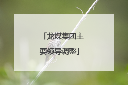 龙煤集团主要领导调整