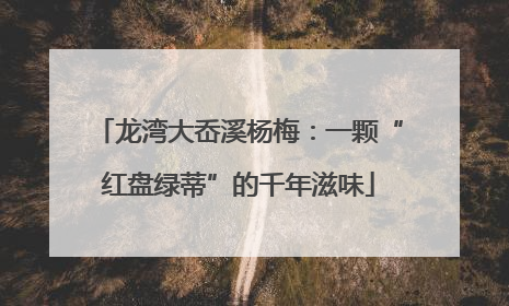 龙湾大岙溪杨梅：一颗“红盘绿蒂”的千年滋味